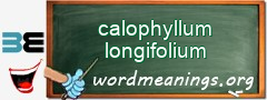 WordMeaning blackboard for calophyllum longifolium